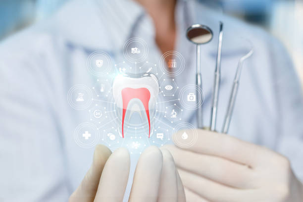 Best Dental Exams and Cleanings  in South Jacksonvle, IL